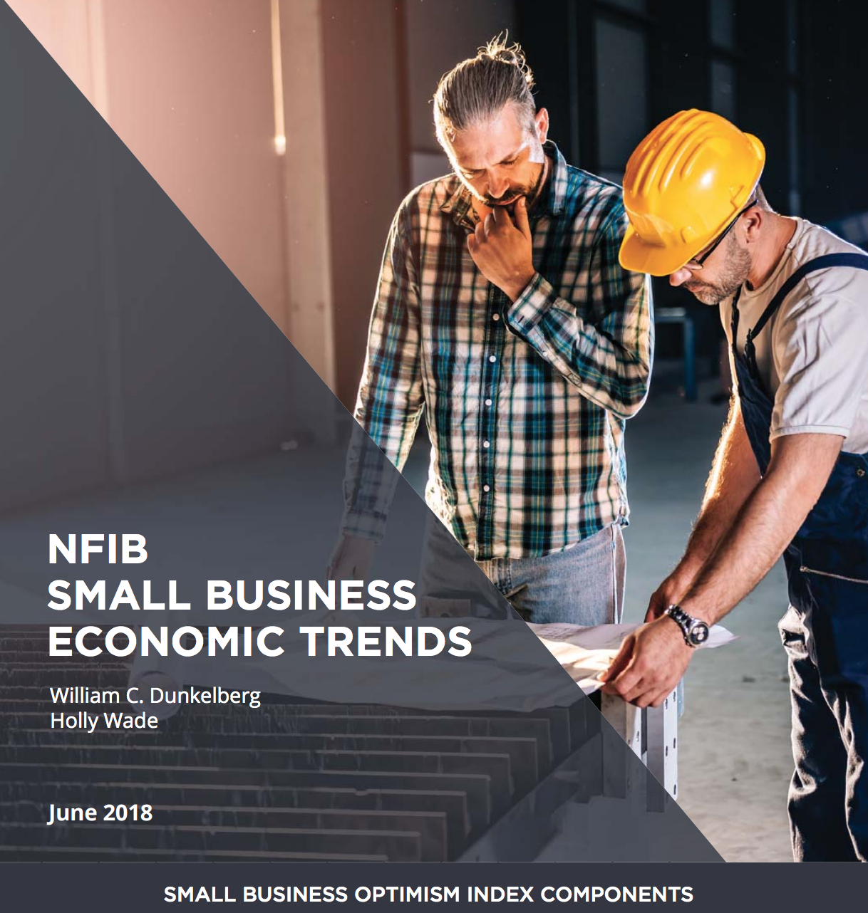 NFIB Small Business Optimism Index: June 2018