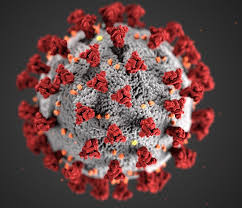 Coronavirus and the Economy